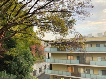 �Z�˂���̒��]�ʐ^�@-