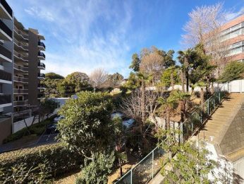 �Z�˂���̒��]�ʐ^�@-