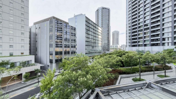 �Z�˂���̒��]�ʐ^�@-