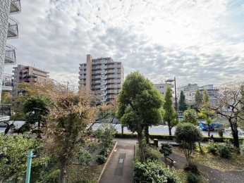 �Z�˂���̒��]�ʐ^�@-