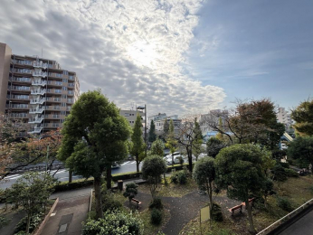 �Z�˂���̒��]�ʐ^�@-