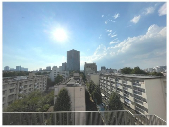 �Z�˂���̒��]�ʐ^�@-