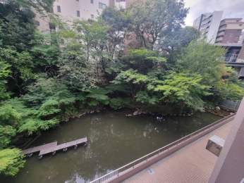 �Z�˂���̒��]�ʐ^�@-