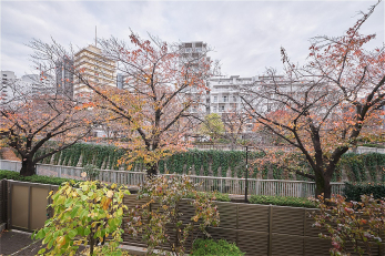 �Z�˂���̒��]�ʐ^�@-