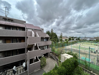 �Z�˂���̒��]�ʐ^�@-