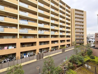 �Z�˂���̒��]�ʐ^�@-