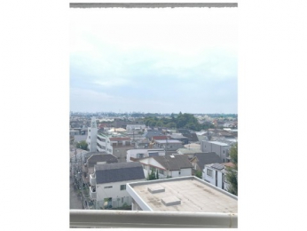 �Z�˂���̒��]�ʐ^�@-