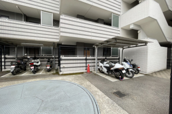 ̑p@oCNu