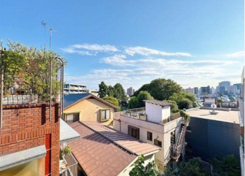 �Z�˂���̒��]�ʐ^�@-