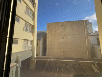 �Z�˂���̒��]�ʐ^�@-