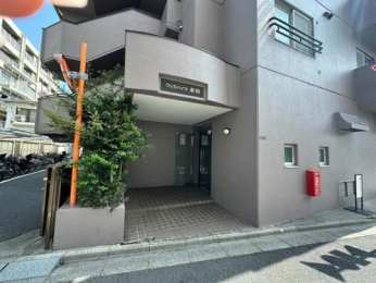 �G���g�����X�@-