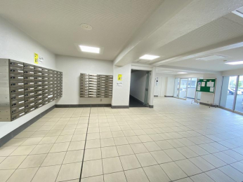 ���̑����p���@-