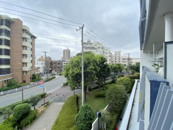 �Z�˂���̒��]�ʐ^�@-