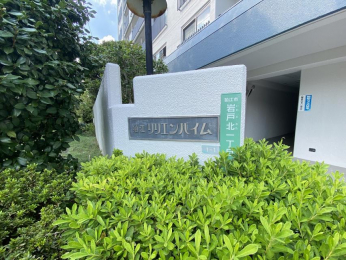 �G���g�����X�@-