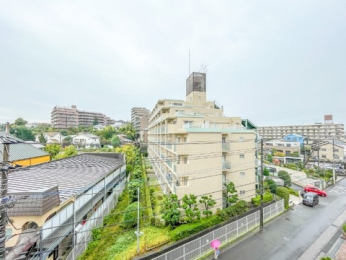 �Z�˂���̒��]�ʐ^�@-