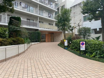 �G���g�����X�@-