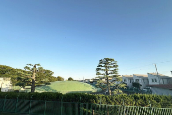 �Z�˂���̒��]�ʐ^�@-