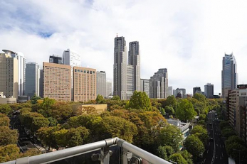 �Z�˂���̒��]�ʐ^�@-