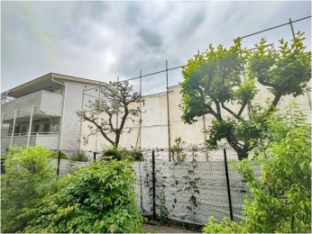 �Z�˂���̒��]�ʐ^�@-