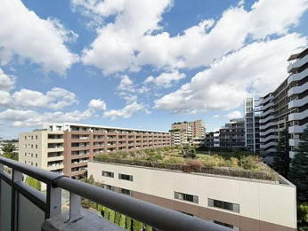 �Z�˂���̒��]�ʐ^�@-