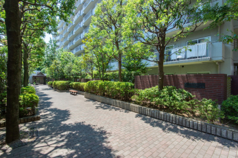 �G���g�����X�@-