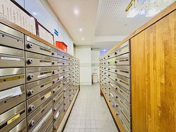 ���̑����p���@���[���{�b�N�X