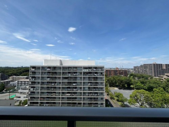 �Z�˂���̒��]�ʐ^�@-