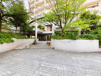 �G���g�����X�@-