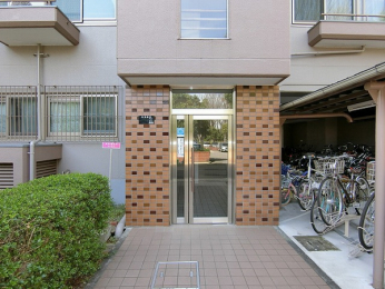 �G���g�����X�@-