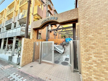 �G���g�����X�@-