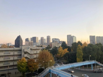 �Z�˂���̒��]�ʐ^�@-