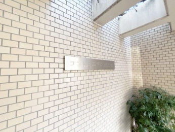 �G���g�����X�@-