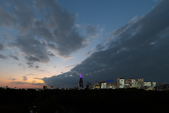 �Z�˂���̒��]�ʐ^�@-