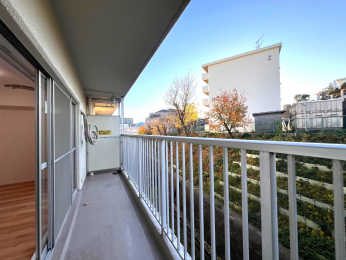 �o���R�j�[�@-