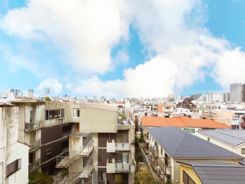 �Z�˂���̒��]�ʐ^�@-