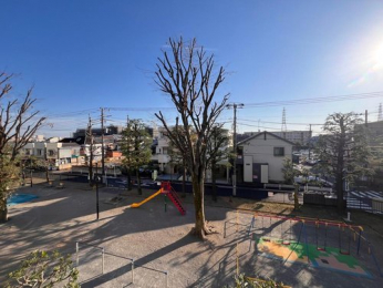 �Z�˂���̒��]�ʐ^�@-