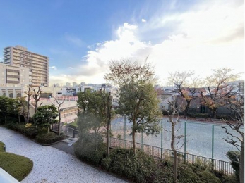 �Z�˂���̒��]�ʐ^�@-