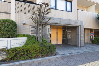 �G���g�����X�@-