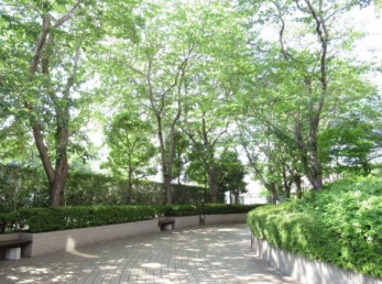 ���̑����p���@-