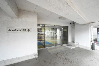 �G���g�����X�@-