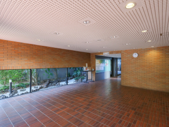 �G���g�����X�@-