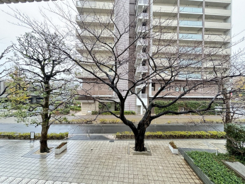 �Z�˂���̒��]�ʐ^�@-