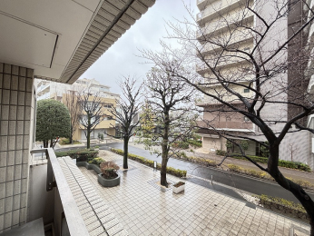 �Z�˂���̒��]�ʐ^�@-