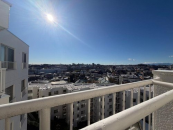 �Z�˂���̒��]�ʐ^�@-