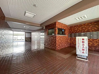 �G���g�����X�@-