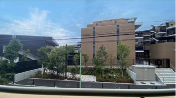 �Z�˂���̒��]�ʐ^�@-