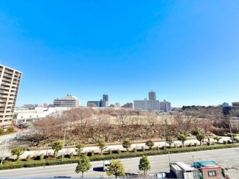 �Z�˂���̒��]�ʐ^�@-