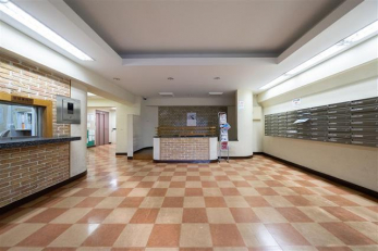 ���̑����p���@-