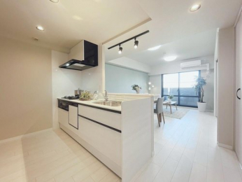 ���d�l�ʐ^(�L�b�`���j�@-