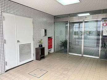 �G���g�����X�@-